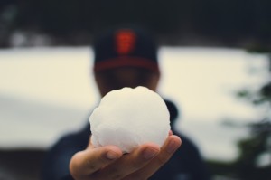 snowball (1280x851)