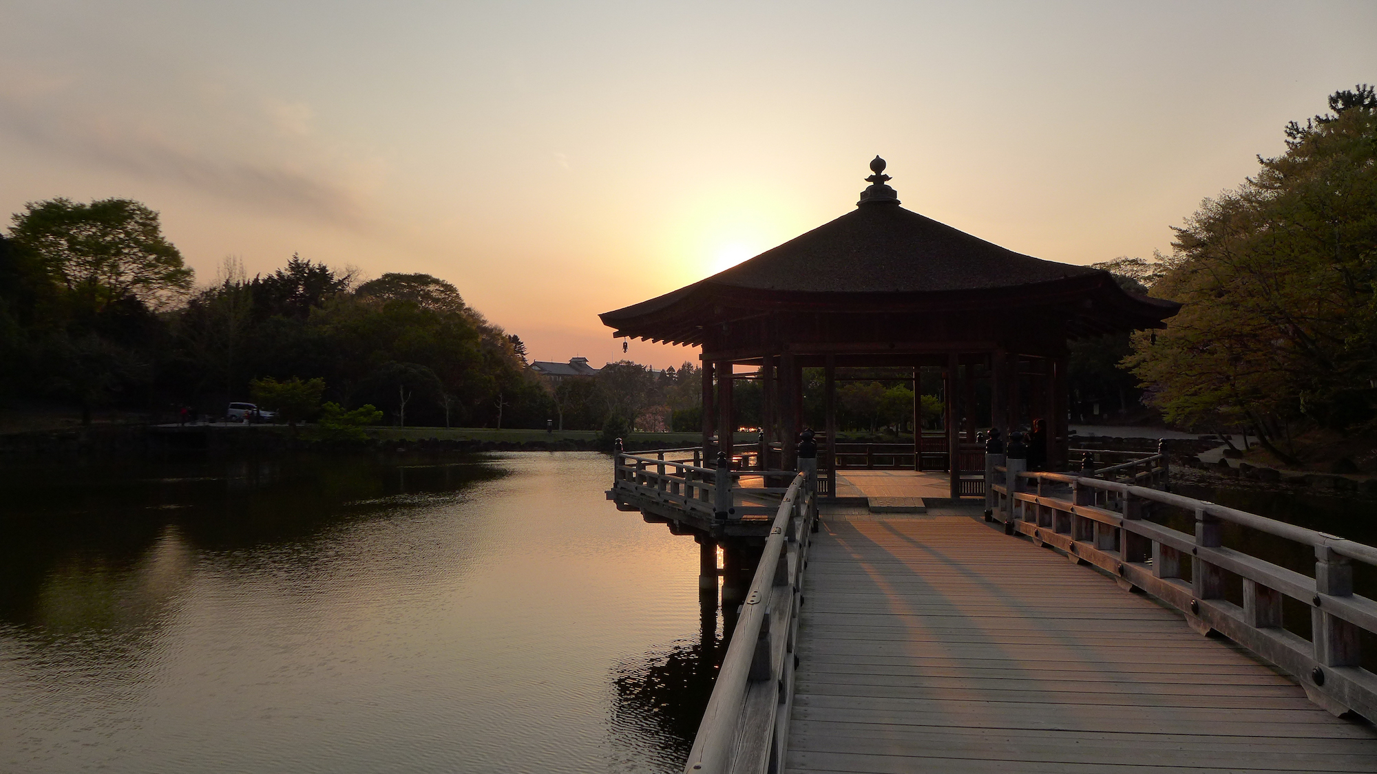 Park at Sunset in Nara